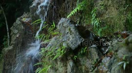 Water, the Sustainer of Everyday Life