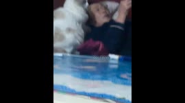 The cat Tugs at the Glasses of its Owner