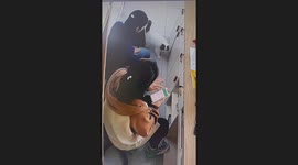 The Cat Dashes Between Chairs