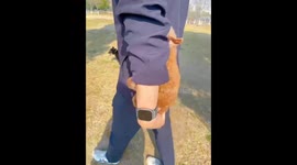 The Poodle Rides in Owner's Palm