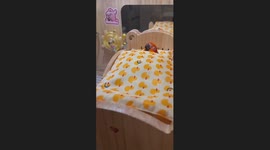 The Sun Parakeet Sleeps in Its Crib