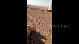 Israeli settlers stormed the village of Shallal Al-Auja, northern Jericho in the West Bank