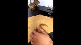 How to Cook One Shrimp