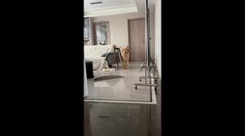 The Golden Retriever Has a Glowing Light in Its Mouth