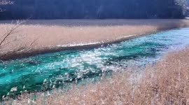 The Spectacle of the Reed Lake