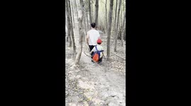 A Father Builds a Simple Sedan Chair to Carry His Son Downhill