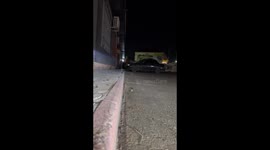 Hedgehog approaches human for help in Dagestan, Russia
