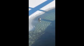 A Waterfowl Dips Into the Lake