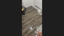 Pretend the Flood Isn’t Happening