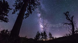 The Milky Way passes behind some trees near Pine Creek Road in Noble Canyon on August 5-6, 2016