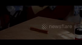 Golden Retriever dog big puppy grabs food on kitchen table
