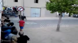 Toros Cogida Impactante  | Multiples Cornadas |