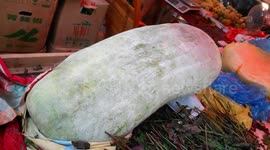 A Tremendous White Gourd Weighs 42 Kg