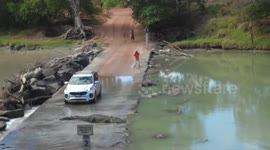 Massive crocodile crosses bridge in front of car