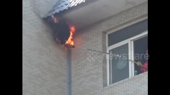 Firefighters remove hornet nest with fire