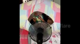 An amazing way to cool down during a heatwave