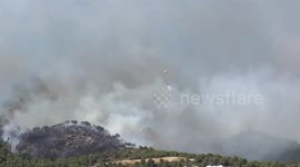 Fire in Calafell Tarragona. 22.08.2016