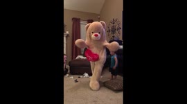 Teddy bear prank ends in fail