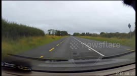 Car hits pigeon at high speed
