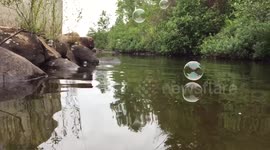 Bubbles bouncing on water