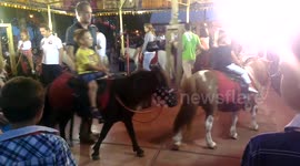 Curious merry-go-round,