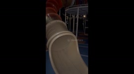 Dog’s First Experience on Slide