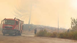 Syria: Syria contains Latakia forest fires with regional firefighting support