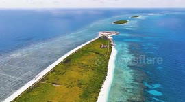 China: South China Sea island welcomes back nesting sea turtle after decade-long disappearance