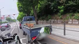 Dog nearly hangs from moving truck in Gangnam-gu, South Korea