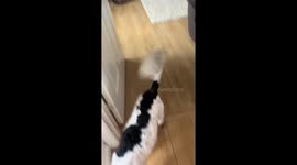 Surprise homecoming after a year away in Middlesbrough, England, UK
