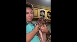 Dog bites owner's lip during playful trend attempt in Alabang, Muntinlupa City, Philippine