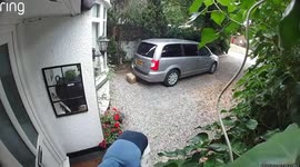 Shocking moment 'porch pirate' swipes packages - in broad daylight