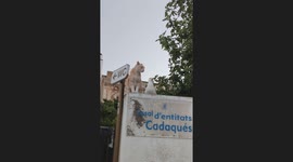 Startled cat hisses at motionless seagull in Cadaqués, Spain