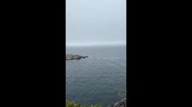 Orcas spotted swimming near shore in Vågan, Norway