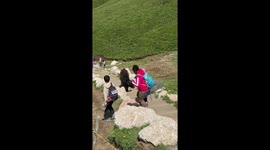 Yak puppy playfully chases tourists on trail in Trento, Italy