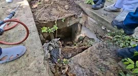 Naked American tourist rescued from sewer outside his apartment in Bangkok