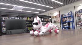 China: China's smart, AI toys stack up global presence