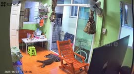 Monitor lizard breaks into home and tries to eat pet bird