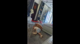 Excited pet dog comforts crying child in China