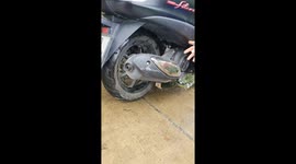 Motorcycle rider rescues kitten that was stuck under seat