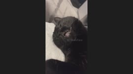 I Wonder What She’s Dreaming of Eating…
