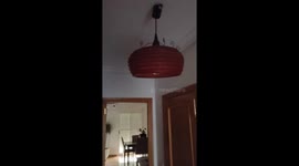 Spain: M5.5 Earthquake Hits Almería