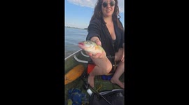 Pelicans join pickerel hunt in peaceful Grand Beach fishing video