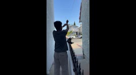 Crow Crashes Into Window and Family Unites for Wild Backyard Rescue