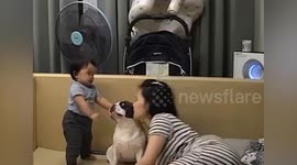 Baby and mummy give pet dog sweet kisses