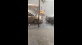 Unfortunate Timing to Get Off the Bus