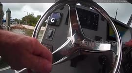 US: Pelican Saved From Fishing Lure Tangle In Weekend Water Rescue