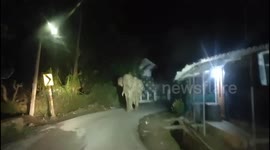 A family attacked by wild Elephant at Night in Gudalur , Nilgiri dt.Tamilnadu India