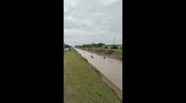 Villagers rescue cow stuck in flooded canal in Thailand