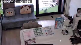 Staff scream as feral monitor lizard breaks into beauty clinic